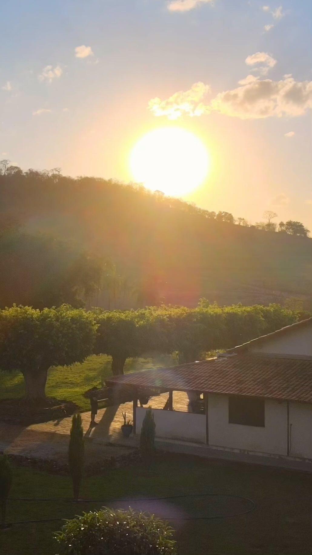 Detalhes da decoração do evento